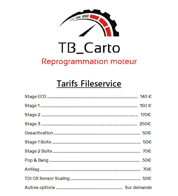 Fileservice reprogrammation ECU Français 24/7 – Image 2