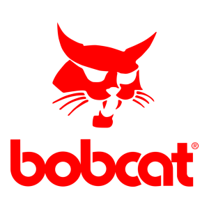 Bobcat